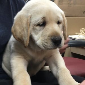 Meet your Posher, Luke